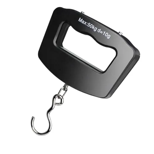 Luggage scale