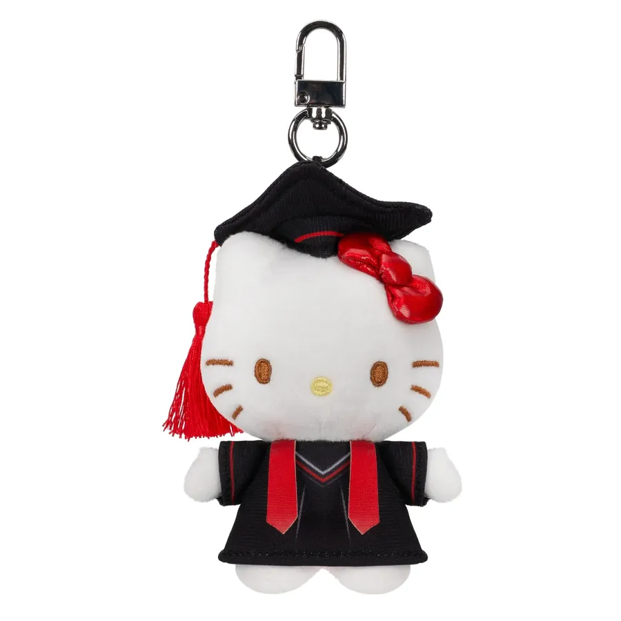 Sanrio / Pokémon mini goods
